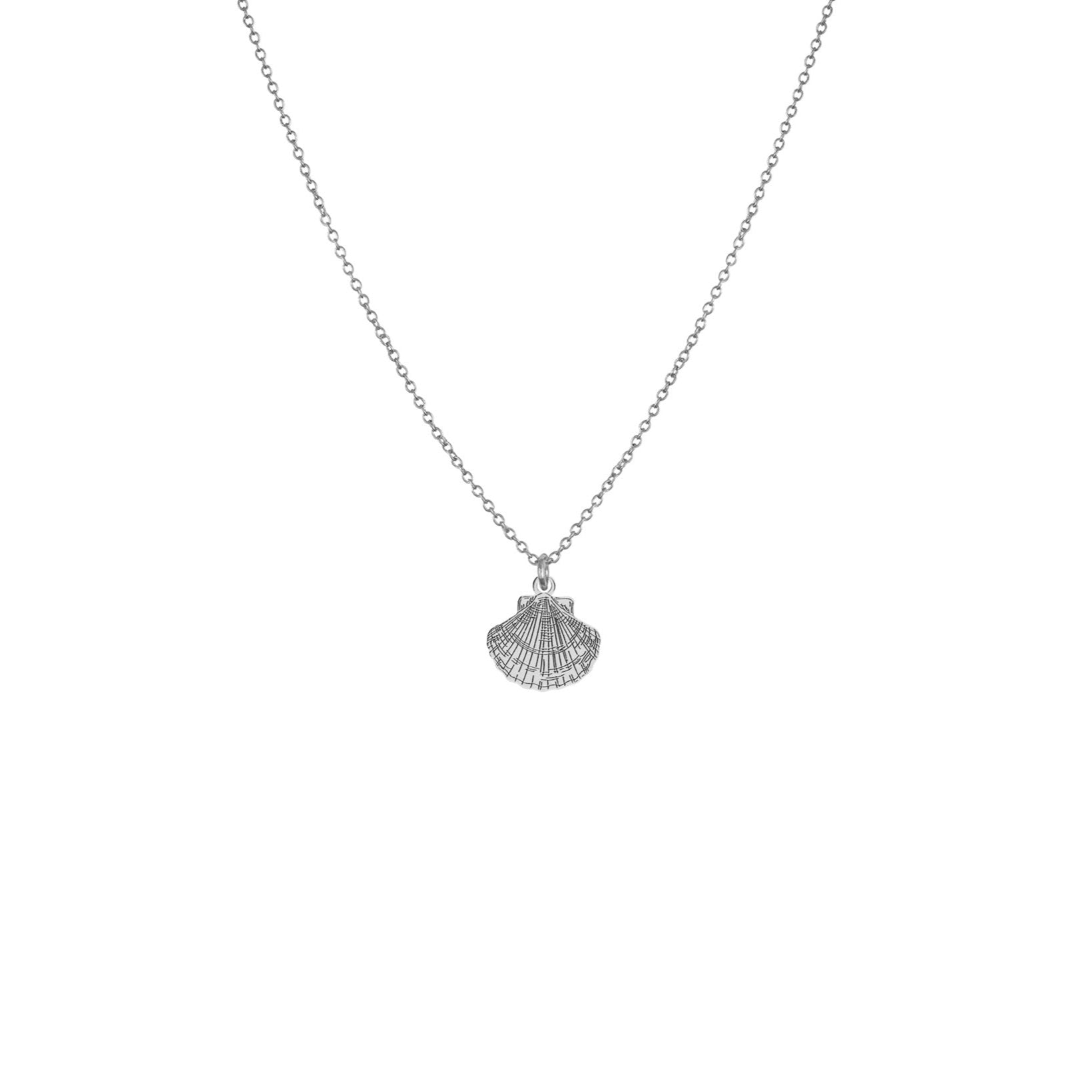 Collier coquillage argent coquille Saint-Jacques