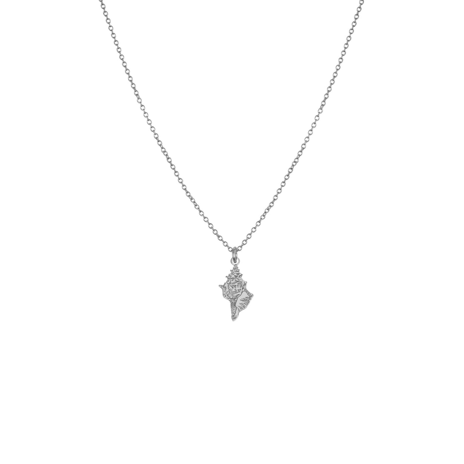 Collier avec pendentif coquillage argent